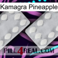 Kamagra Pineapple 17